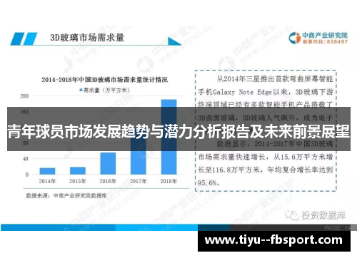 青年球员市场发展趋势与潜力分析报告及未来前景展望