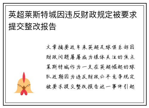 英超莱斯特城因违反财政规定被要求提交整改报告