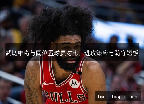 武切维奇与同位置球员对比,进攻策应与防守短板 武切维奇与同位置球员对比,进攻策应与防守短板